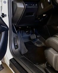 Interior e soleira de veículo após a limpeza